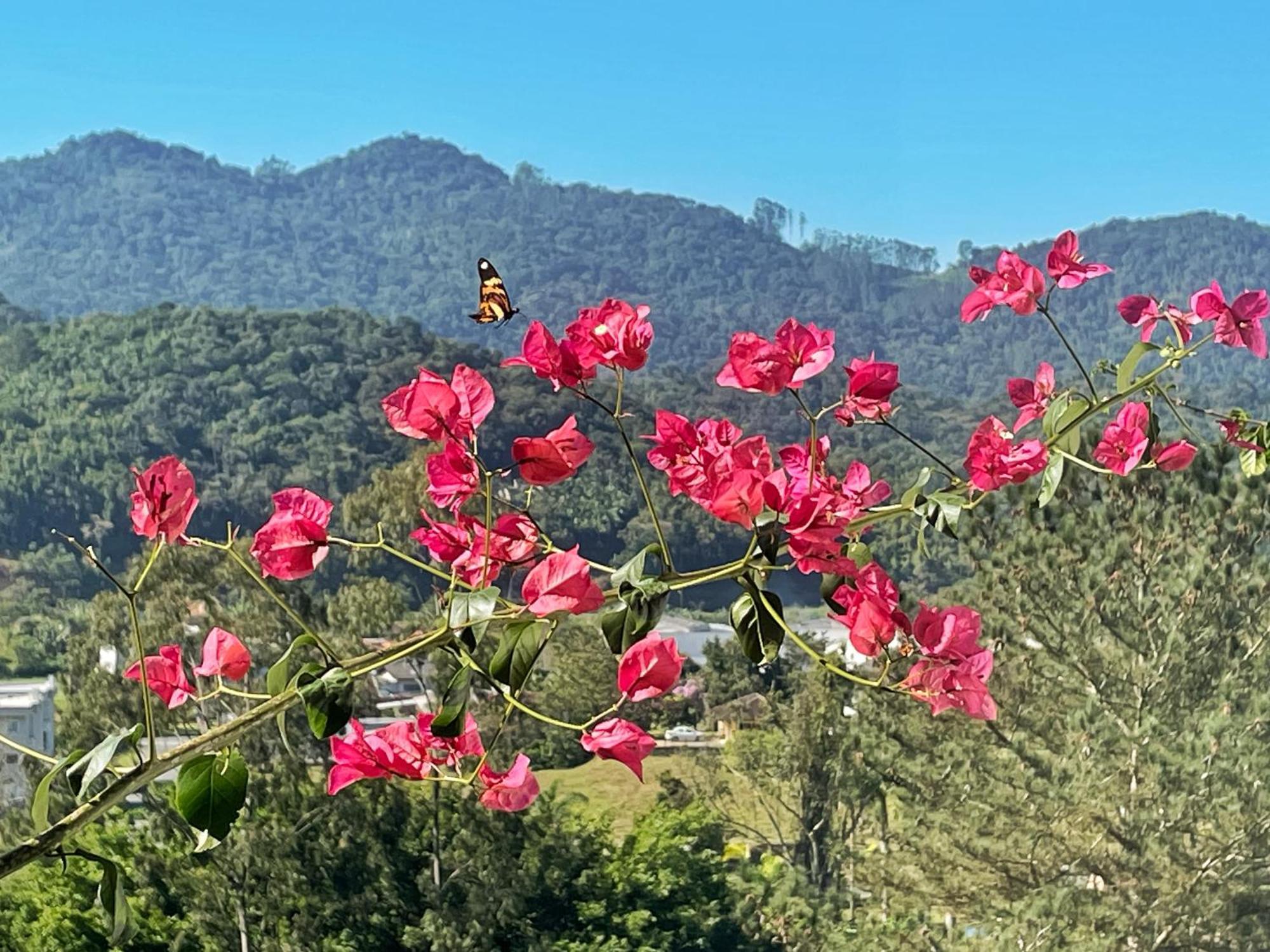 Casa Branca Pousada Pomerode Bagian luar foto
